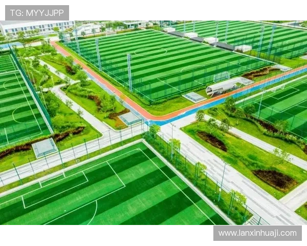 深入了解凯发体育网页版的用户体验与服务质量